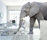 Elephants in the Room Part I: The Big Four’s Expansion in the Legal Services Market