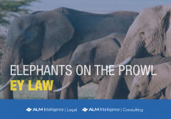 Elephants on the Prowl: EY Law 