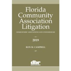 Florida Community Association Litigation: Homeowners’ Associations and Condominiums