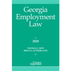 Georgia Employment Law