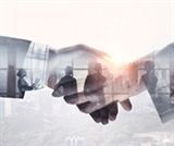 New Partners Survey