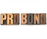 Pro Bono Survey